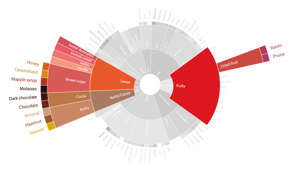 Flavour wheel - A perfect coffee recipe